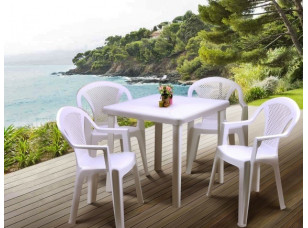 Стол Nettuno и 4 стула Ischia белый
