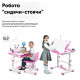 Комплект парта та стілець-трансформери Evo-kids (стілець + стіл + полиця + лампа) BD-04 P (XL) Teddy Pink з лампою