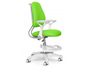 Дитяче крісло ErgoKids Mio Ergo Green