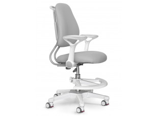 Дитяче крісло ErgoKids Mio Ergo Grey